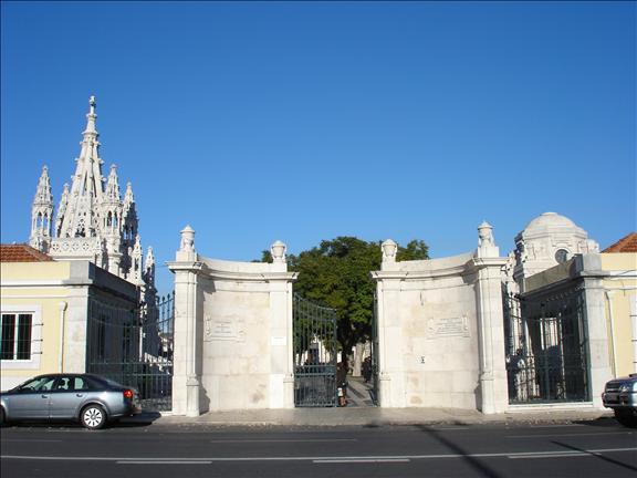 Desentupimentos São João